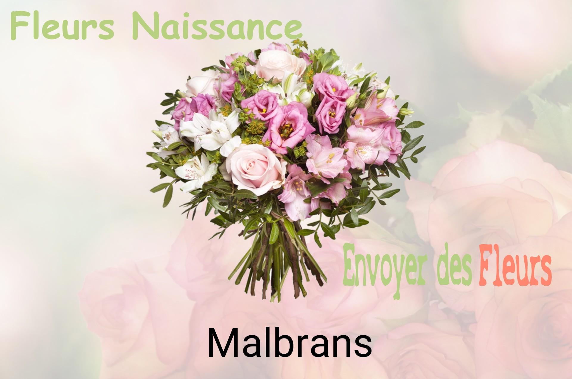 Bouquet de fleurs de naissance livré à Malbrans
